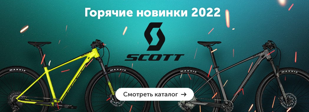 Scott 2022